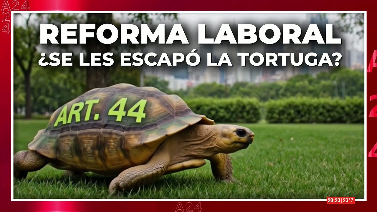 🔴 REFORMA LABORAL: POLÉMICA POR LAS LICENCIAS MÉDICAS