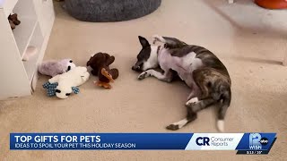 Consumer Reports: Gifts for pets and their people