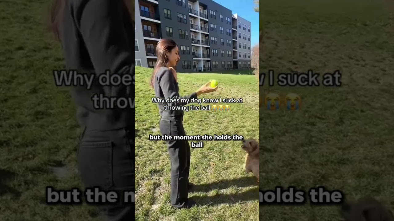 This dog knows his owners too well 😂