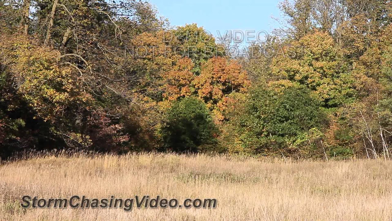 9/21/2012 Stearns County MN Fall Colors B-Roll