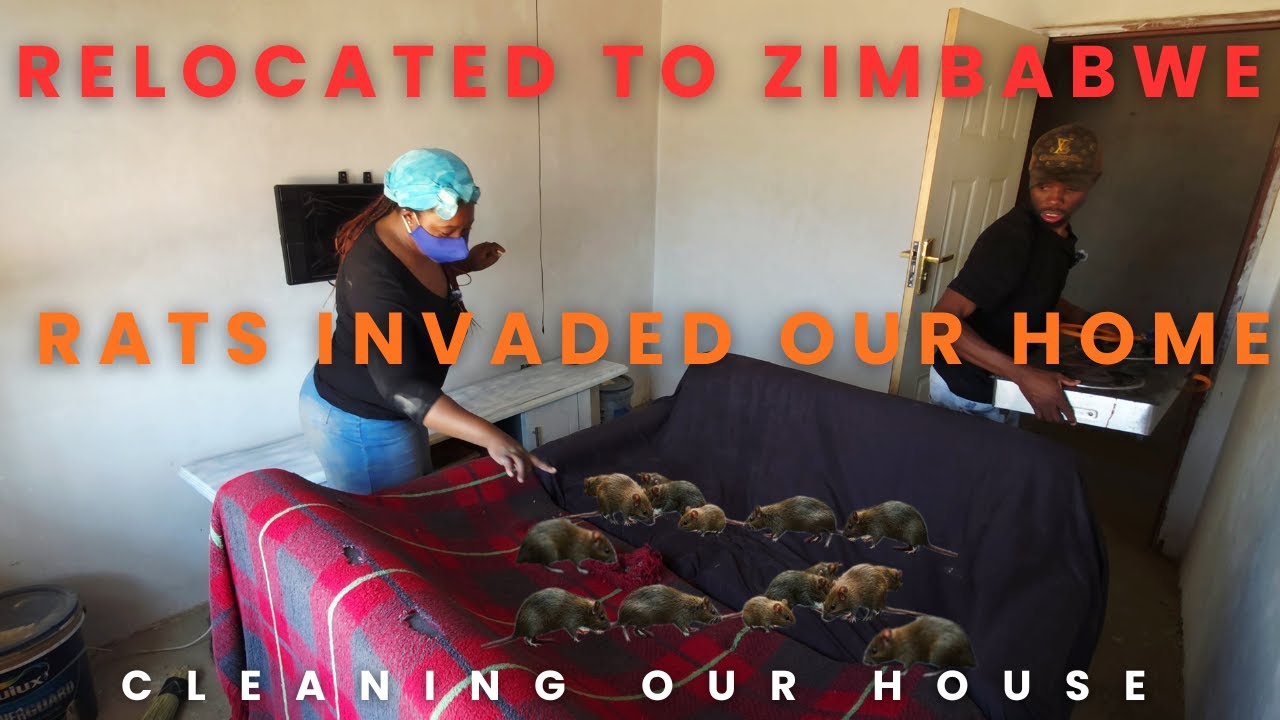 Relocating back to Zimbabwe🇿🇼|cleaning our house|rats invaded our home|VLOGTOBER