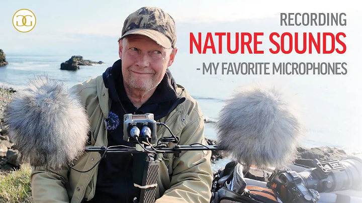 Little-Known Microphones That Solved My Wildlife and Bird Audio Problems thumbnail
