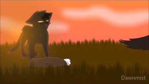 Crowfeather and Leafpool Collab MAP: Hallelujah (Part 2)
