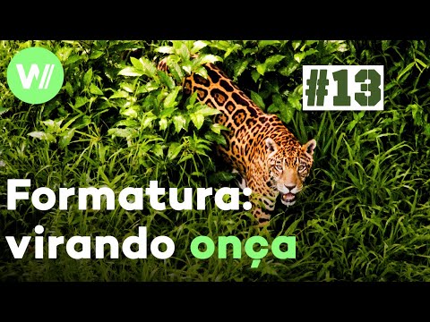 Ritual de formatura militar | Guerreiros da Selva Oficial – Episódio 13