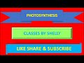 #CLASSES BY SHELLY #PHOTOSYNTHESIS FOR ALL EXAMS/2020