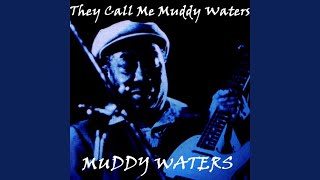 Video thumbnail of "Muddy Waters - Whiskey Blues"