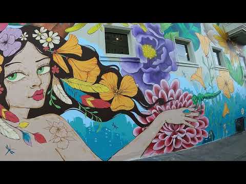 Video: Wat te doen in Haight-Ashbury in San Francisco