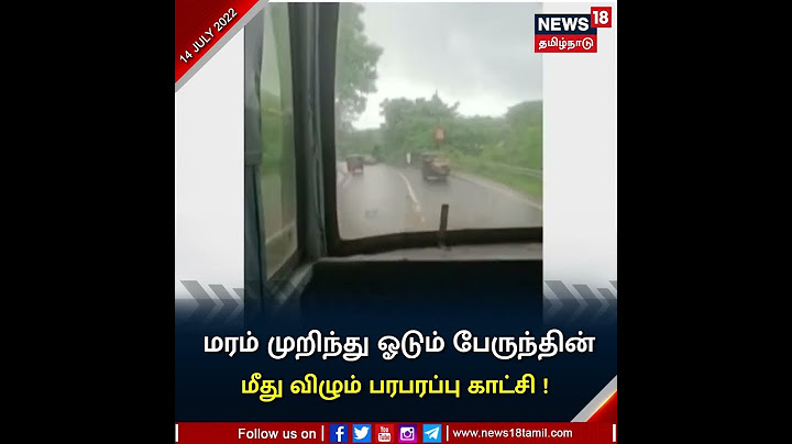 #Kerala #ViralVideo Tree Smashes On Bus | மரம்  முறிந்து பேருந்தின் மீது விழும் பரபரப்பு காட்சி