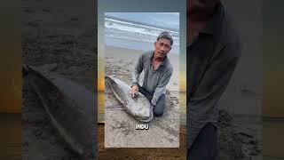 Ada Yang Pernah Makan Ikan Ini?