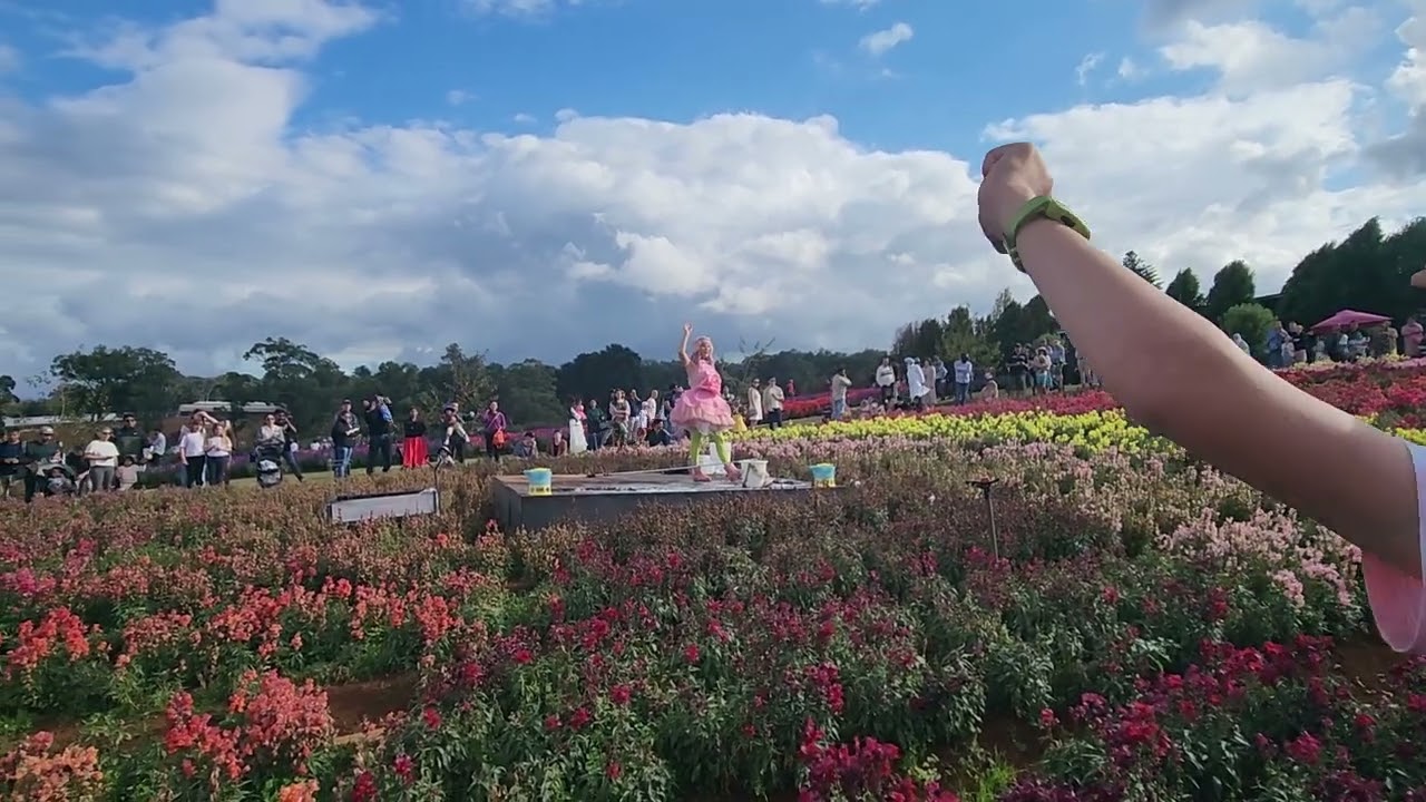 Fairy making bubbles ✨🫧🧚‍♀️ 