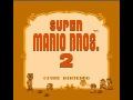 Super Mario Bros 2 BETA Prototype Starman Theme Music Real Super Mario Bros 2 BETA Prototype Starman Theme Music Real