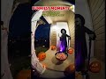 WILD Animals Get SCARED by Halloween Decorations! 🦒🦍 FUNNIEST Wildlife Reactions Caught on Camera