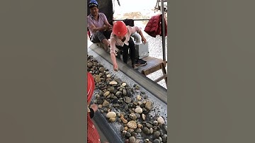 Khai thác ngọc bích ở Tân Cương Hetian!#shorts #cẩm thạch #ngọc Jadeite A#nanhong #ngọc bích