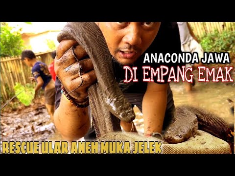 Uy qurilishi rus mast porno Kseniya Sobchak ochiq porno