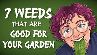 7 Weeds That Are Good For Your Garden And Your Health