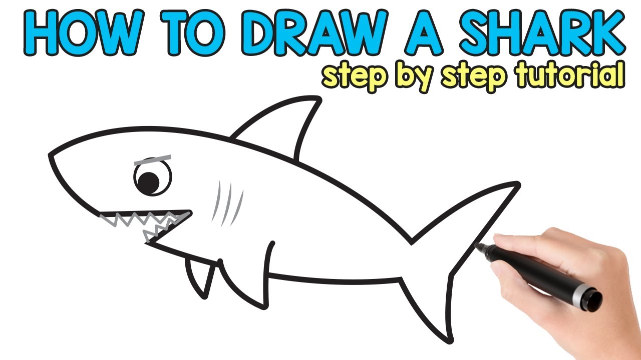 How to Draw a Shark Step By Step - tutorial with free printable - YouTube