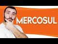 MERCOSUL - BLOCO ECONÔMICO , MERCADO COMUM DO SUL, TRATADO DE ASSUNÇÃO, ESTADOS MEMBROS