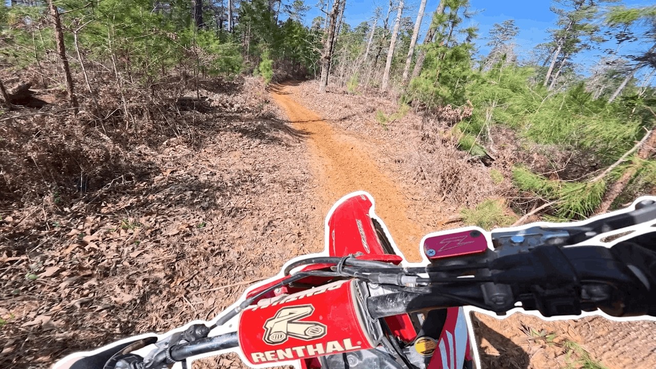 Riding with the boys, CRF250r (Sam Houston National Forest)