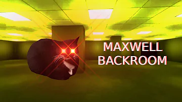 Maxwell the cat in the Backrooms