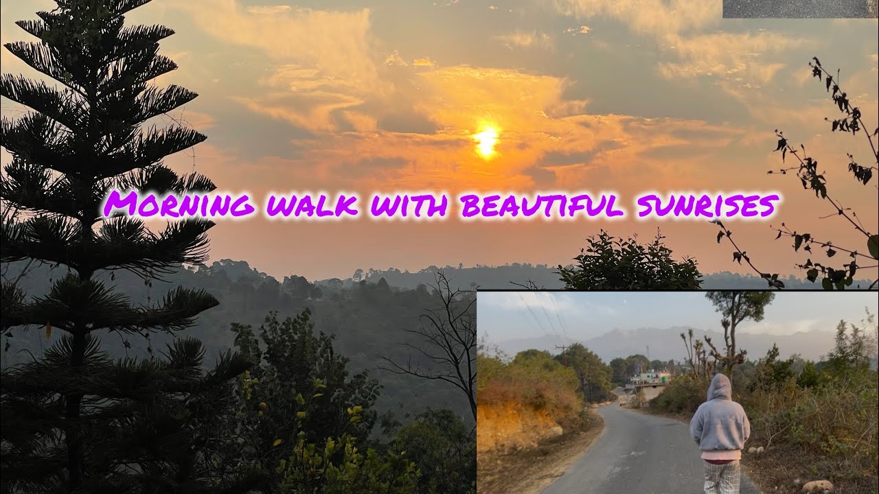 Morning Walk with Beautiful Sunrise In Himachal 