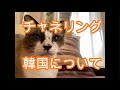 チャネリング　韓国について
