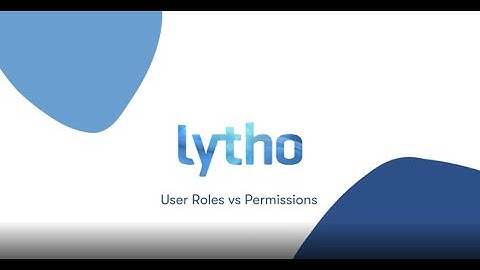 User Roles vs Permissions- Lytho