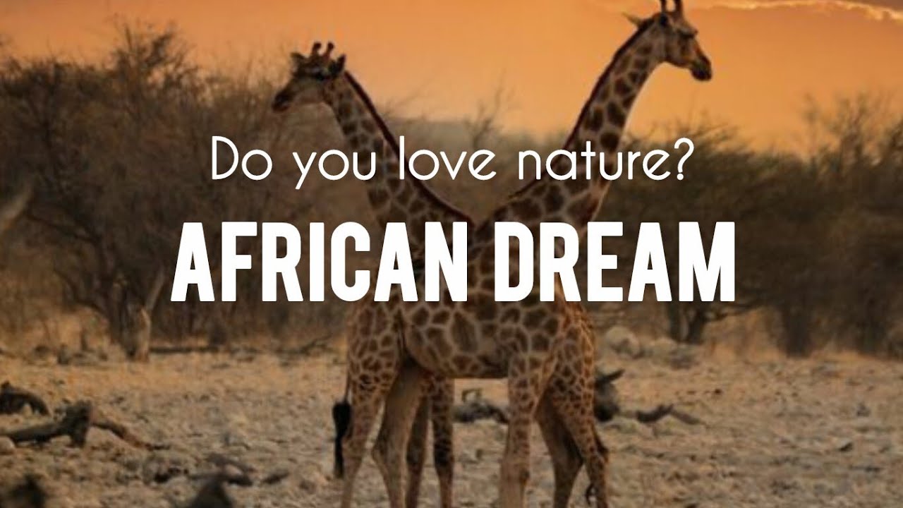 Relax. Imagine, dream...  Sounds to soothe your soul