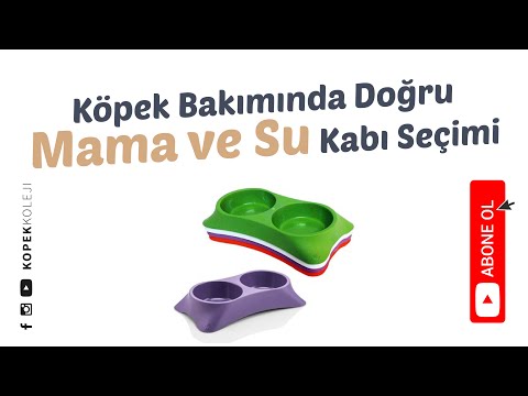 Video: Evcil Hayvan Sahipleri İçin En İyi Evcil Hayvan Otomatik Besleyiciler