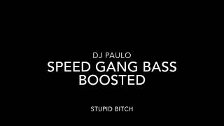 DJ Paulo- Speed Gang- Stupid Bitch BASS BOOSTED!!