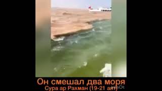 Сура Ар - Рахман (19-21)