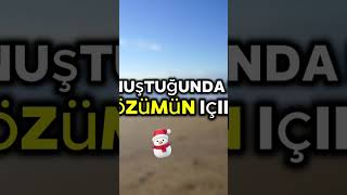 Kayinbabamla Yasak Aşk Şmanlık Şk Inpeder