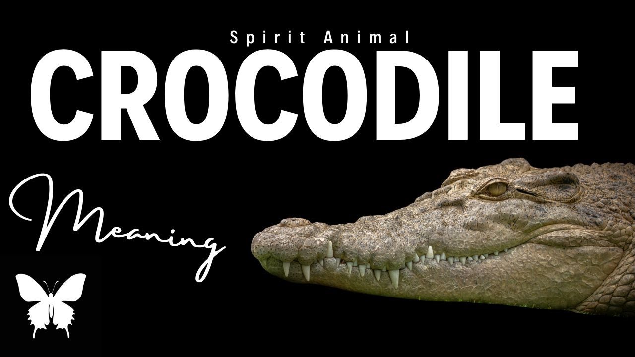 Crocodile Spirit Animal | Crocodile Spirit Guide | Crocodile Symbolism | Crocodile Totem