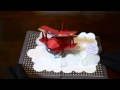 pop up card_biplane【赤い飛行機】