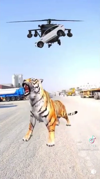Indian man hangs from crane escapes helicopter dodges car turns into tiger and walks off