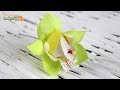 Орхидея из конфет ☆ Цветы из бумаги ☆ Орхидея из гофрированной бумаги ☆ Поделки
