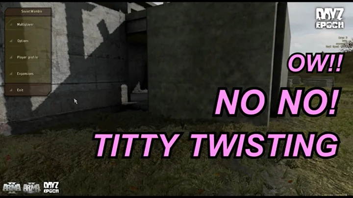 Random DayZ bullshittery (part 6)