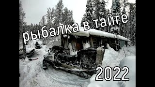 СУПЕР РЫБАЛКА  КОМИ!!! Ловля Ельца и Хариуса!!! 2022