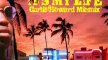 SNAP VS DR ALBAN - RHYTHM IS MY LIFE MASH UP