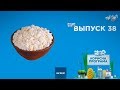 Как выбрать вкусный творог | ПОЛЕЗНАЯ ПРОГРАММА. Выпуск 38 — 6.11.2019