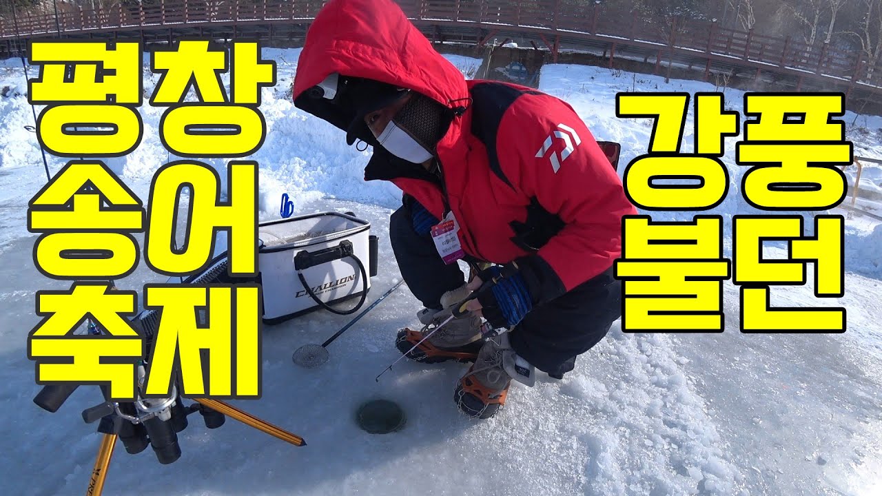 25평창송어축제 #2낚시터 #산밑포인트 #액션 #메뚜기 250107