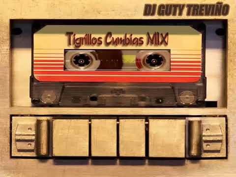 Tigrillos - Cumbias MIX