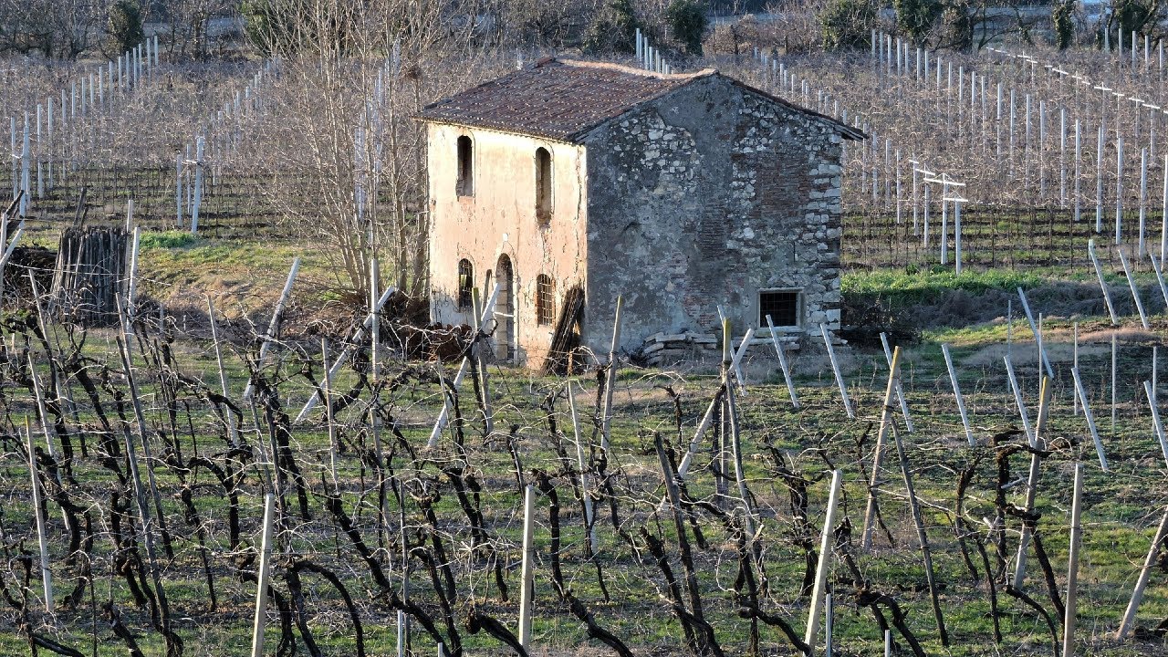 Surpriza nga Halla nga Gurbeti i Uron Vllaut dhe Kunatës Lindjen e Vajzës...!!!