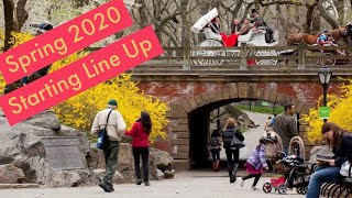 (Spring Starting Line Up 2020) Maximilian Must Know #996