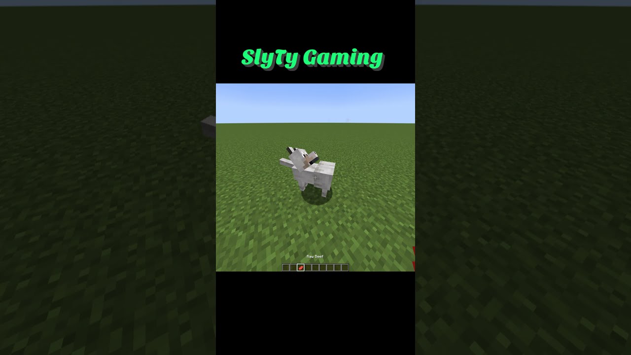 My Minecraft wolf is looking funny 
