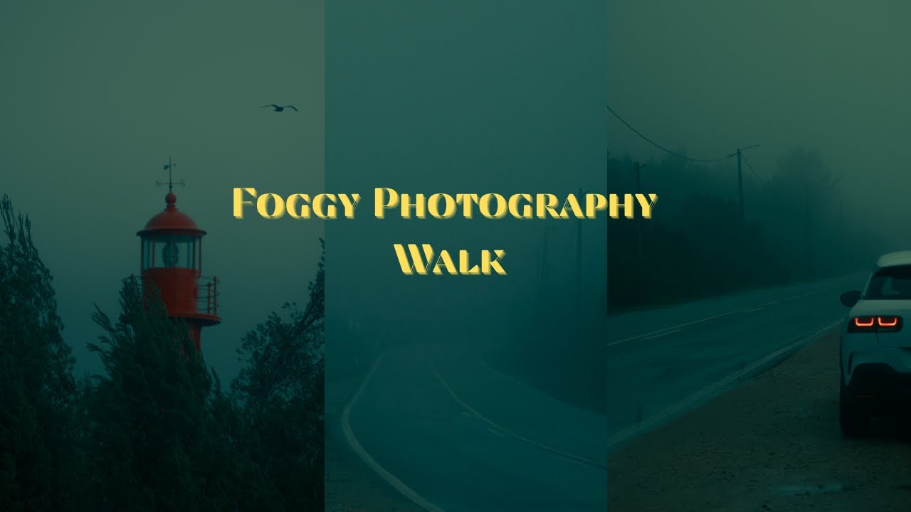 POV Foggy Photography Walk + Tips and Tricks!
