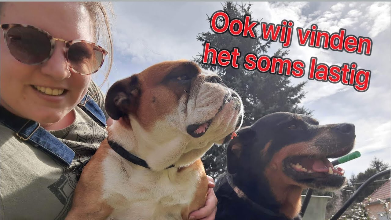 Niet altijd even makkelijk | wonen in Hongarije #8