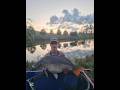 toate speciile de pești pe care le-am prins. #pescuit #fishing #clean #crap #caras #somn #pești