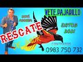 KCHAK NACIONAL 2021- VETE PAJARILLO-JOVI ACOSTA- RESCATE DE AMOR♫ PABLO LISANDRO DJ ♫