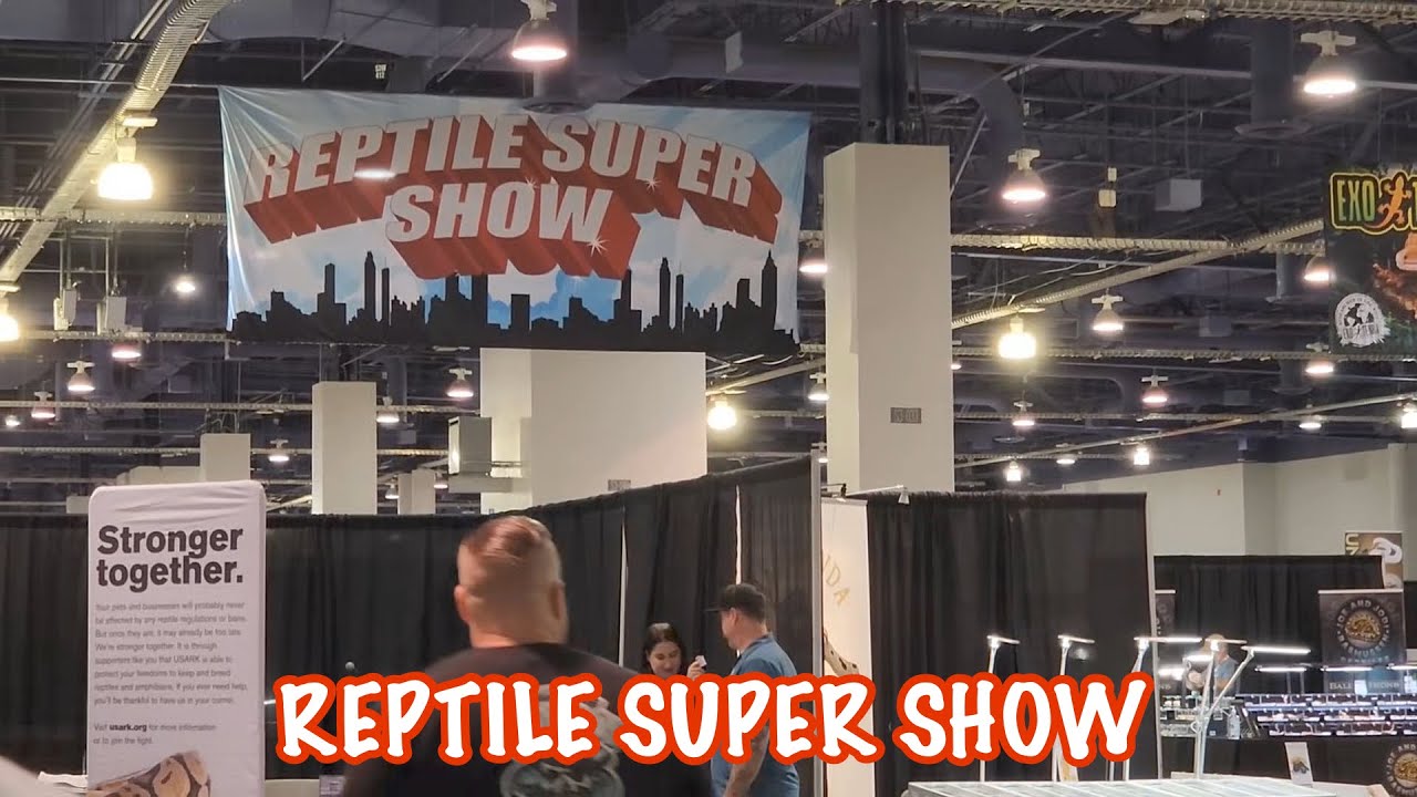 아잔틱 크레스티드게코의 인기는 만국 공통! REPTILE SUPER SHOW in Las Vegas YouTube