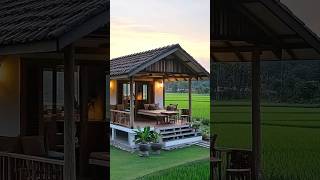 the cottage house is very natural#shorts #short #house the cottage house is very natural#shorts #short #house